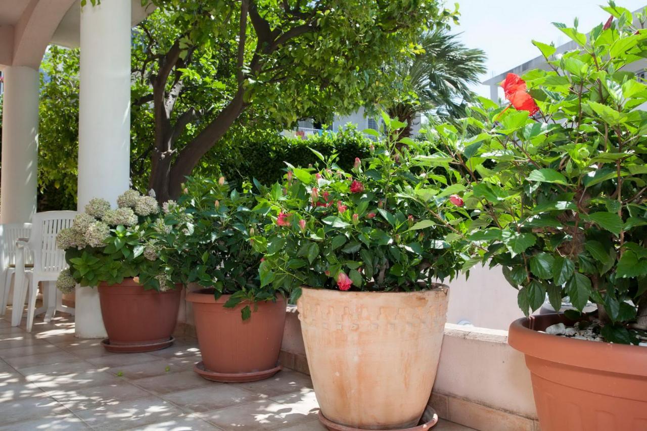 Aparthotel Villa Mozart Podgora Dış mekan fotoğraf